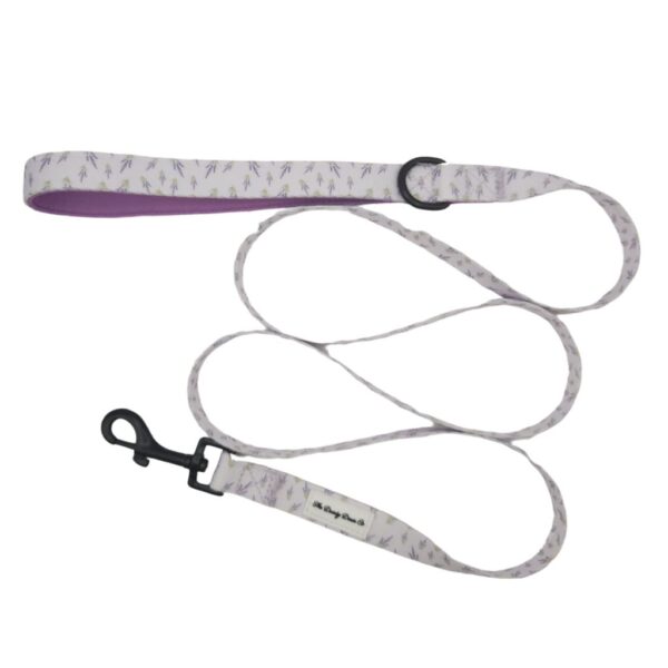 Adventure Leash - Live, Love, Lavender