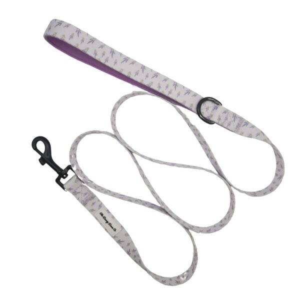 Adventure Leash - Live, Love, Lavender