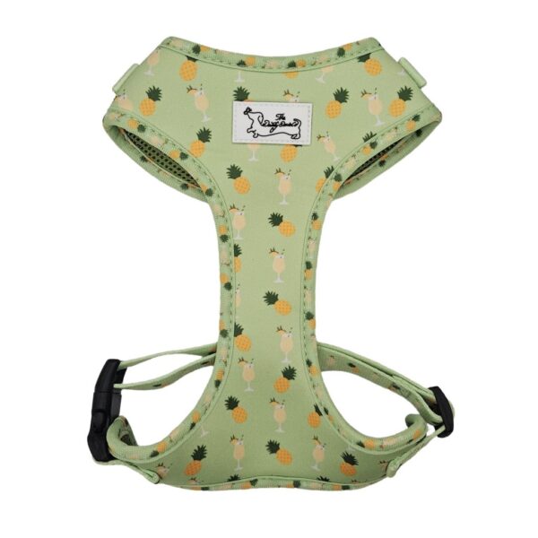 4 Piece Bundle - Piña Colada Pup