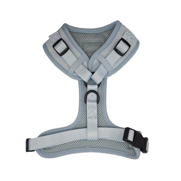 Adjustable Harness - Puppy Blue