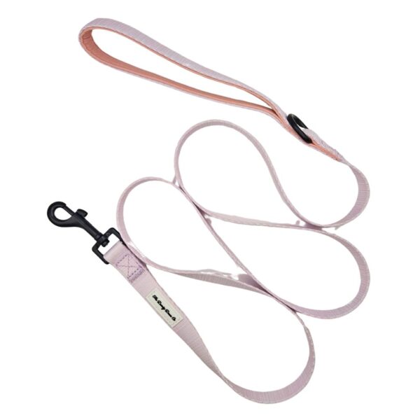 Adventure Leash - Puppy Pink