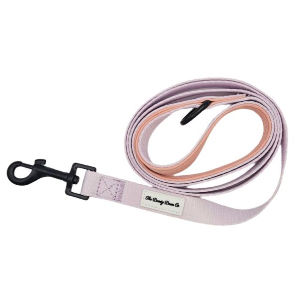Adventure Leash - Puppy Pink