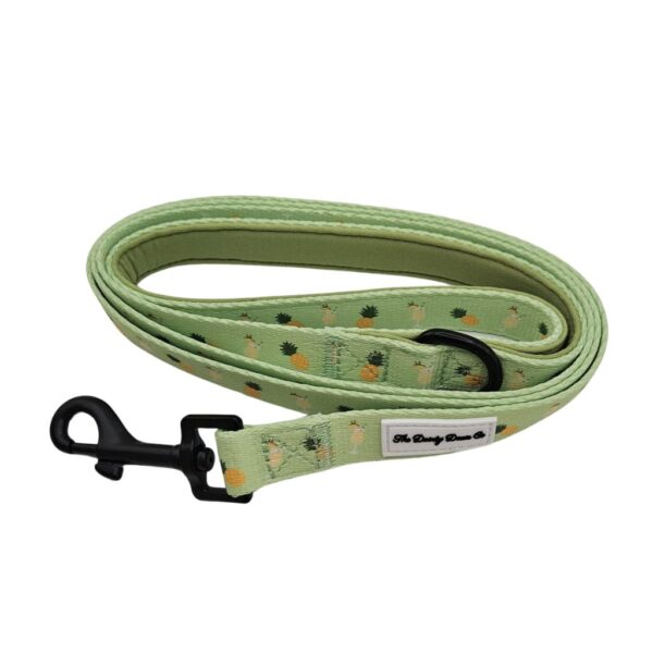 4 Piece Bundle - Piña Colada Pup