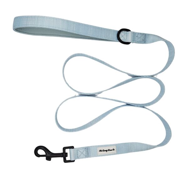 Adventure Leash - Puppy Blue