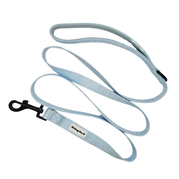 Adventure Leash - Puppy Blue